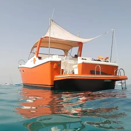 - Boat And Breakfast 